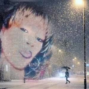 Meet your Posher, Wanda